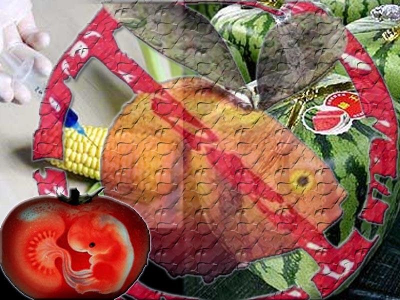 GDO’ya sıkı denetim gelecek