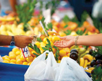 Gel vatandaş gel, paranla domuz gribi olma!