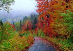 Gölcük'te sonbahar yaz günlerini aratmadı