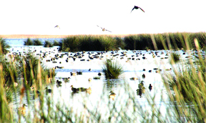 Kızılırmak’ı dünya tanıyacak