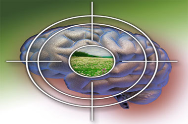 9 maddede hayatın gayeleri