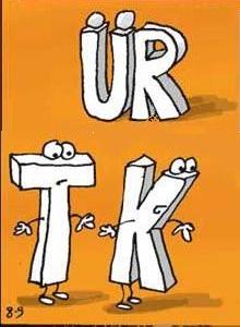 Türk-Kürt kardeşliği anketi