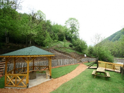 Kent Ormanlarına Büyük İlgi