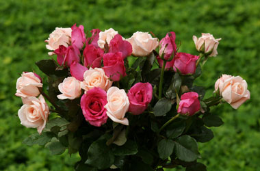 Öfkesini tutanın Allah kusurunu örter