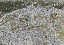 Hacı adayları, Arafat'ı 'beyaza' bürüdü