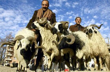 Kurban, Mümini Allah'a yaklaştırır