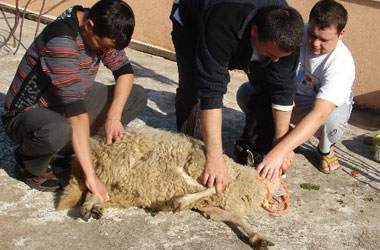 Müslüman Rus ilk kurbanını kesti