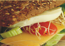 Kas yapmanın kolay yolu