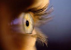 Körlük Tarihe mi Karışıyor?