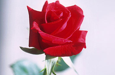 Mazlumun bedduasından sakın, çünkü...