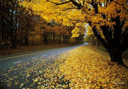 Kainatı kim temizliyor?