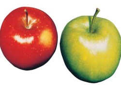 Kronik hastalıklara birebir!