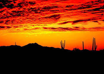 Her sabah ve akşam şöyle Bismillah de