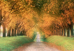 Risale-i Nur’a göre Tarikat nedir?