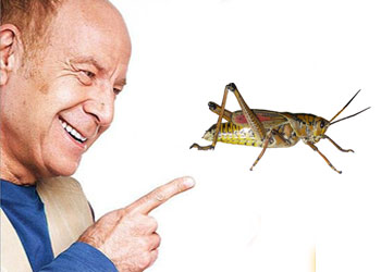 Çekirge ile birlikte tavaf yaptık