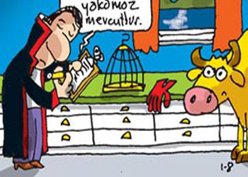 Hakim Kozmik odada neler buldu?-Karikatür