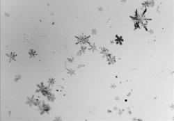 Hava Sıcaklığı Hafta Sonu Artacak