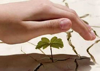 Allah'ın bitkilere nasip ettiği koruma kalkanı