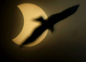 Güneş tutulması hayranlıkla izlendi