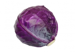 Kalbin ve kanser hastalığının ilacı