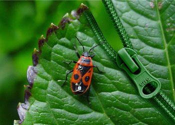 Grafikerlerden ilginç tasarımlar