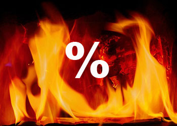 Faiz Dâbbet’ül-arz gibi