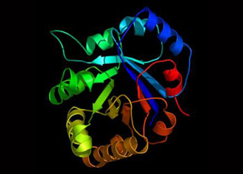 Darbe merakı "bozuk bir gen" gibi