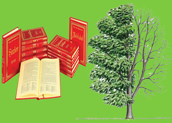 Risale-i Nur okudum ağaca bakışım değişti