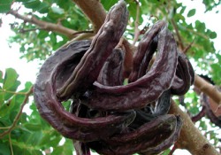 Grip hastalığına karşı birebir