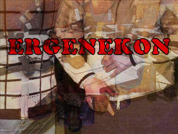 Erzincan Ergenekonunun cemaat raporu