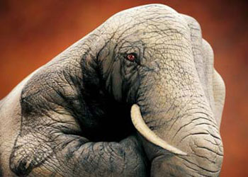 Hayalleri zorlayan sanat-FOTO