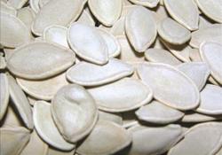 Kabak Çekirdeği Şifa Kaynağı