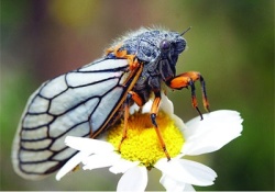 Ve bilim Serhad'ı keşfetti