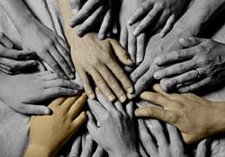 Örnek Sivil Dayanışma