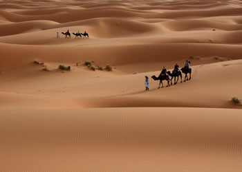 Zulüm ve baskıdan, hürriyete hicret...