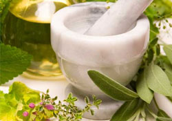 Cildinize bakan bitkiler