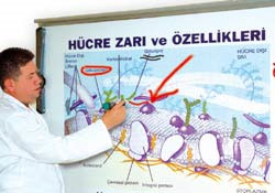 'Kara tahta' Akıllandı