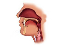 Bademcikten pratik korunma yolları