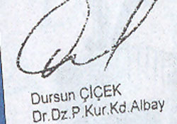 Belgelerde imzası olan diğer komutanlar nerede?