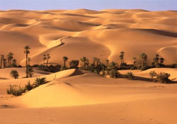 Gökten balık yağdı!