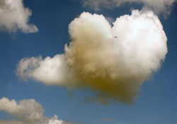 Faniler, Baki'nin muhabbetiyle sevilmeli