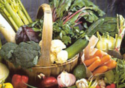 Neden daha fazla sebze  yemeliyiz?