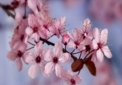 Ruhunuzu stresten arındırın