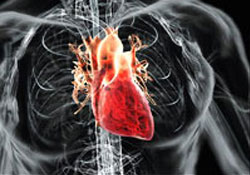 Allah (c.c) sizin kalplerinize bakar