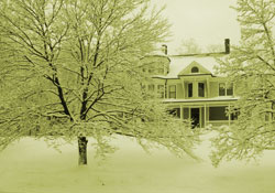 Rusya'ya sarı kar yağdı