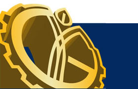 2010 İstihdam yılı