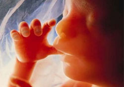 Sezeryana alternatif doğum yöntemleri teşvik edilecek