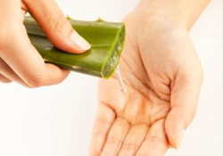 Kainat eczanesinden mucize bitkiler