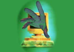 Zararlı site kabusu bitiyor