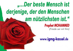 Almanlar İslam'ın Gülünü sevdiler